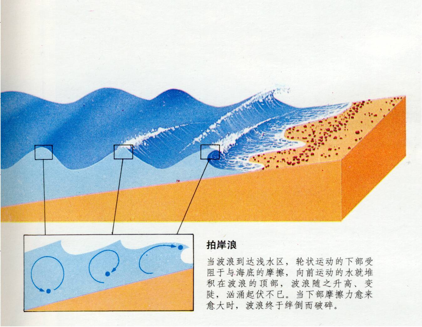 浪基面图册 360百科