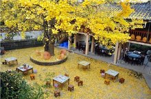 腾冲县 腾冲县