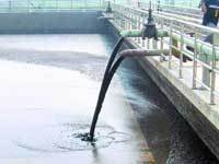 地方两会｜武汉市政协委员彭琛：引进应用湖水净化技术为建设生态文明城市筑牢技术根基