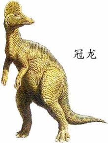 冠龙像与化石