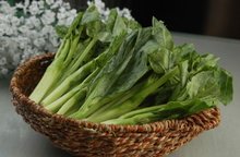 芥蓝 芥蓝