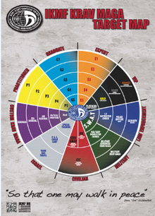 国际马伽术联盟体系介绍