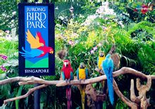 新加坡裕廊飞禽公园