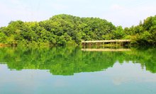 平果县 平果县