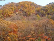 蒲石河森林公园风景
