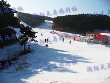 华体会- 华体会体育官方网站- 华体会体育APP下载滑雪大冒险内置功能菜单