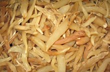 天门冬