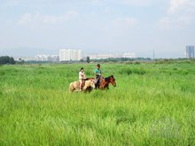 赛汗塔拉生态园