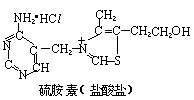 硫酸素