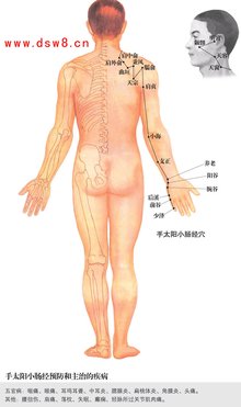 手太阳小肠经人体穴位图 手太阳小肠经人体穴位图