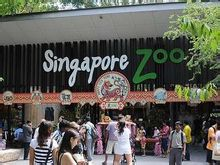 新加坡动物园