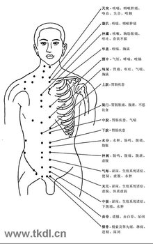 全身穴位5)腳跟---生殖器4)腳掌凹位--腸3用貴孫見)前腳掌後方--穿紅