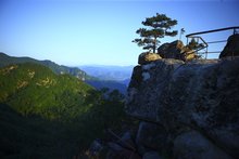 天桥沟森林公园