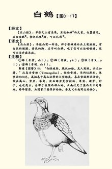 折叠编辑本段简介4鵺的传说3出处2基本解释1简介目录神话中形状像雉的