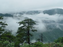 古田山自然保护区 古田山自然保护区