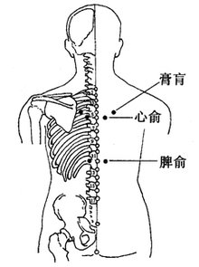 脾俞的位置图片