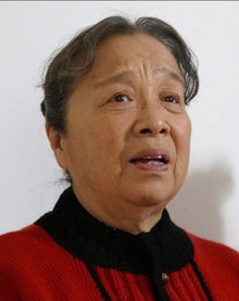 家有九凤2005年杨亚洲执导电视剧