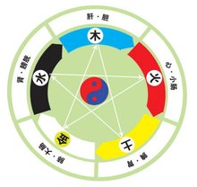 五行对应人体图