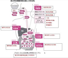 通过阿洛酮糖抑制血糖上升的结构