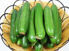 黄瓜 黄瓜