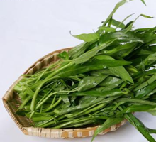 空心菜