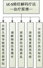 精神康复疗法研究：LC-S修经解码疗法