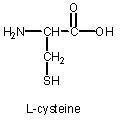 半胱氨酸
