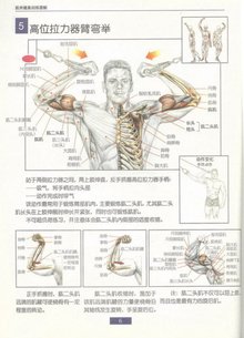 拉力器_360百科泛亚电竞(图1)