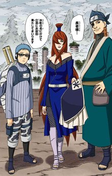 照美冥(日本漫画《火影忍者》中的人物)_360百科