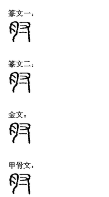 efy五笔输入法7笔画数月部首zhǒu拼音肘中文名基本信息肘是一个汉字