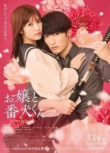 大小姐和看门犬