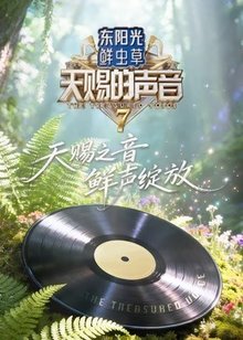 天赐的声音 第7季