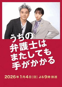 我家的律师又惹麻烦了