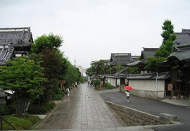 农村城市化