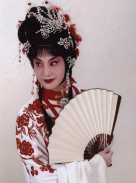 杨春霞(京剧表演艺术家)_360百科