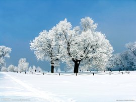 雪景