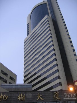 柏树大厦