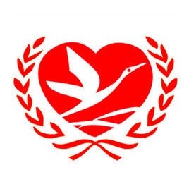 青年志愿者