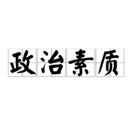政治素质