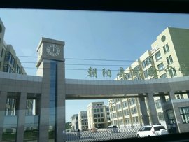 朝阳县楼市：从冷清到复苏
