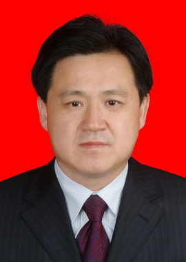 王保华南阳市委常委纪委书记锁定