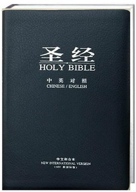 新国际版圣经