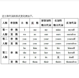 形容詞性物主代詞