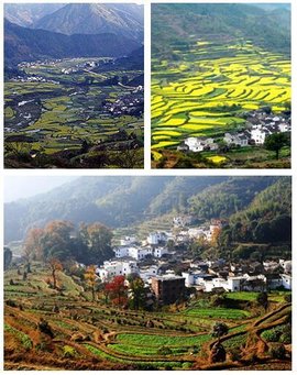 大靖属不属于古浪县 t014314e7086fc28e9f.jpg?size=408x515