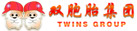 双胞胎