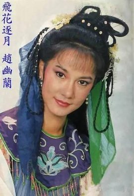 飞花逐月(1985年高宝树导演台湾电视剧)