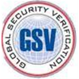 Gsv Patch gsv_360百科