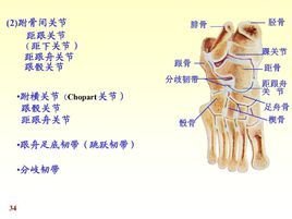 请输入验证码以便正常访问