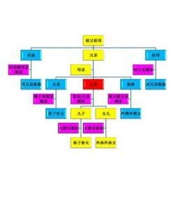 直系血亲