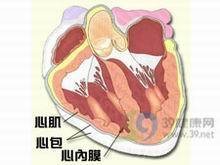 心内膜